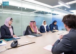 نائب وزير الخارجية يلتقي رئيس لجنة الحريات المدنية والعدالة والشؤون الداخلية في البرلمان الأوروبي