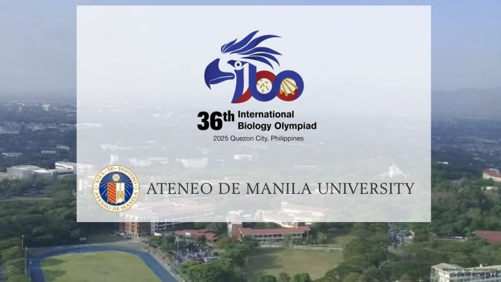 IBO2025banner-8beee414
