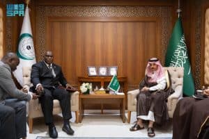 وزير الخارجية يلتقي وزير خارجية غامبيا