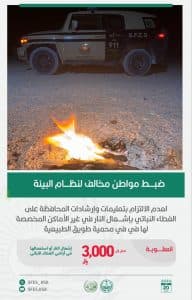 القبض على 4 أشخاص مخالفين للأنظمة البيئية بعدد من مناطق المملكة
