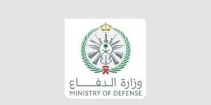وزارة الدفاع: اعتراض وتدمير مسيّرة خلال الساعات الماضية