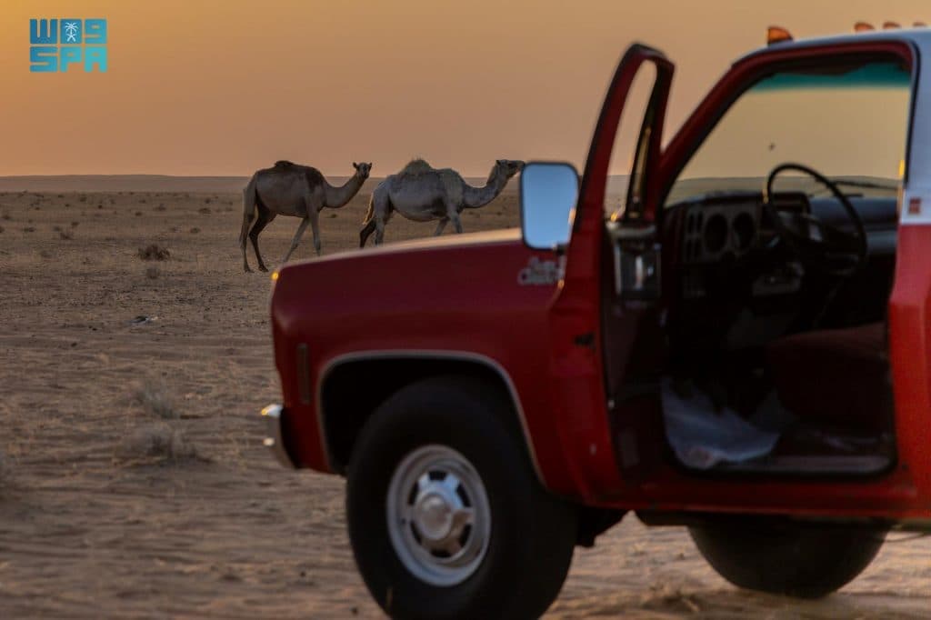 21 شوال 1447 هـ الموافق 09 أبريل 2026 م واس