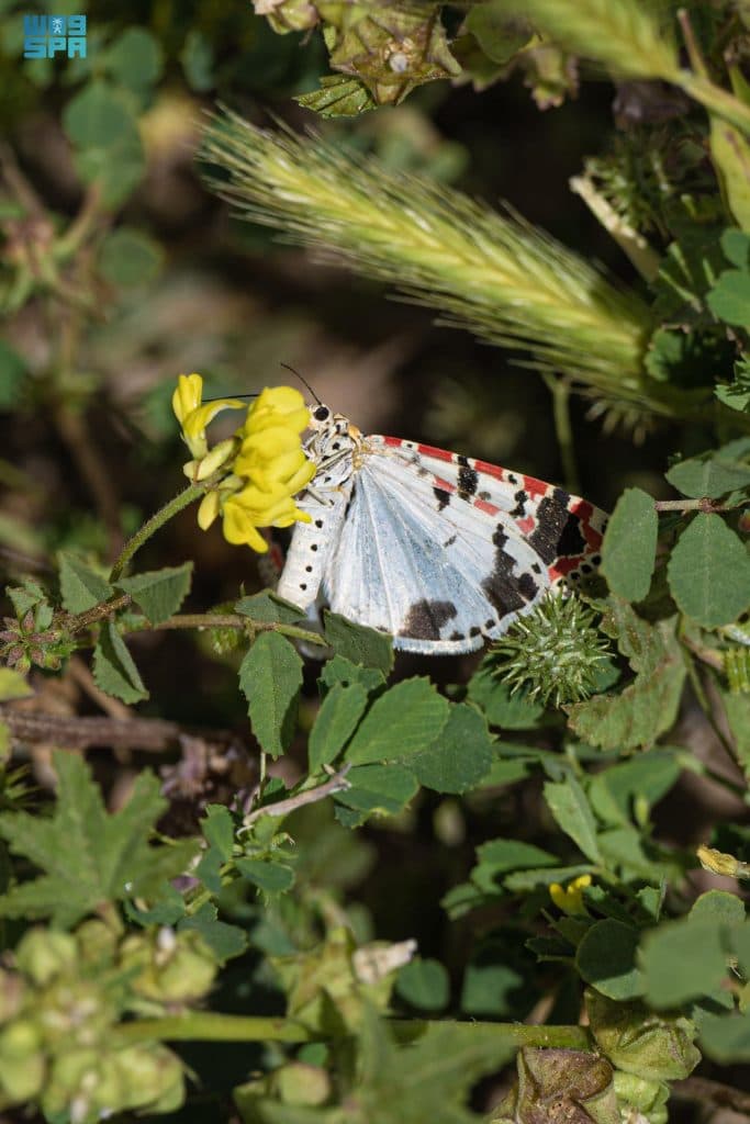F9782700