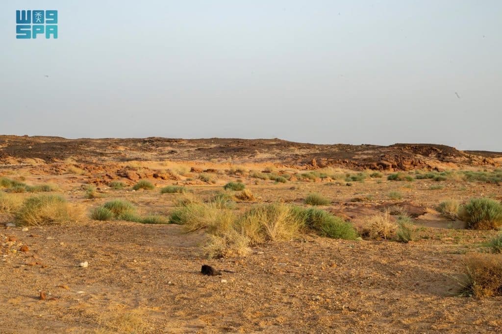 F9828425