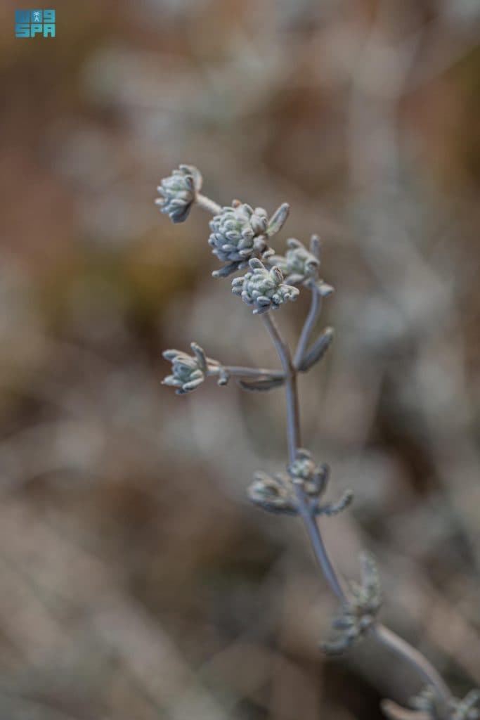 F9862060