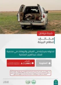 القبض على 3 مواطنين لمخالفتهم الأنظمة البيئية بعدد من مناطق المملكة