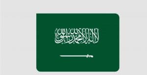 المملكة تؤكّد أهمية حماية حرية الملاحة بمضيق هرمز