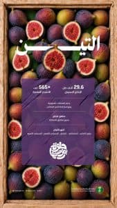 مزارع المملكة تنعش الأسواق المحلية بنحو 30 ألف طن من فاكهة التين