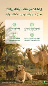 “البيئة” تحثّ مُلاك الحيوانات الأليفة على اتخاذ تدابير حمايتها من حرارة الصيف