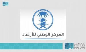 “الأرصاد”: رياح نشطة على منطقة الحدود الشمالية